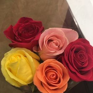 Meet your Posher, Diep